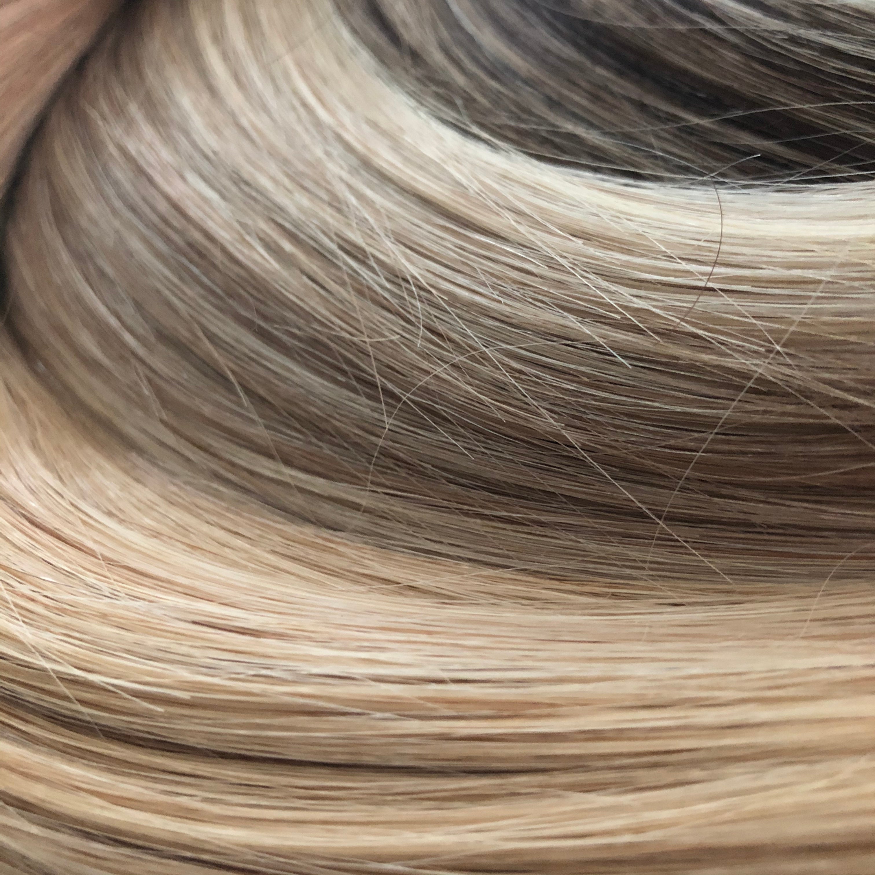 BLONDE x HIGHLIGHTS